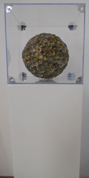 MW 14 (Normale Auflösung)